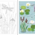 Rub-down transfer books – Buttfliers and bugs_spread