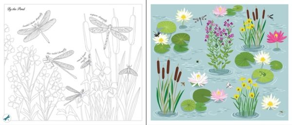 Rub-down transfer books – Buttfliers and bugs_spread