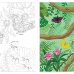 Rub-down transfer books – Buttfliers and bugs_spread2