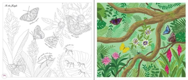 Rub-down transfer books – Buttfliers and bugs_spread2