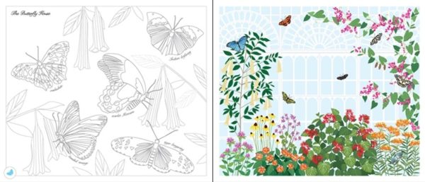 Rub-down transfer books – Buttfliers and bugs_spread3