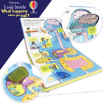 look inside what happens when you eat-inside1