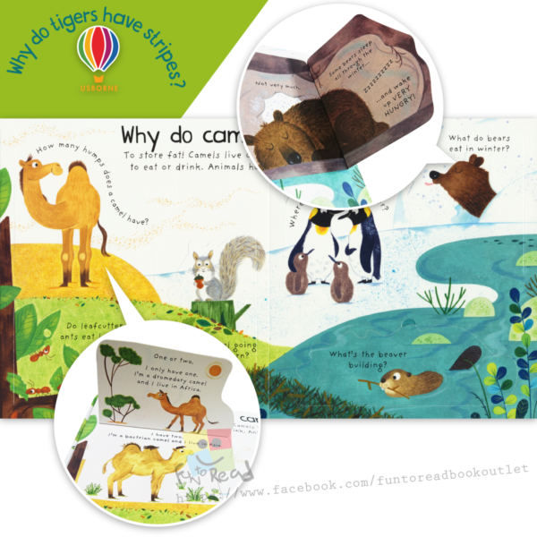 usborne why do tigers have stripes-inside1