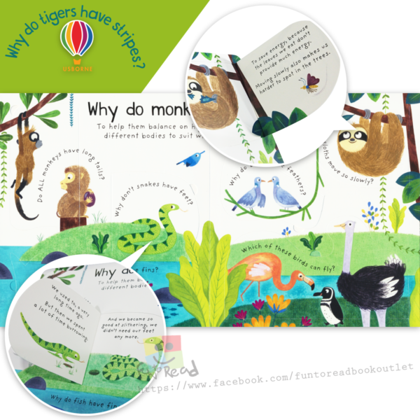 usborne why do tigers have stripes-inside2