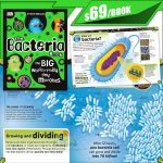 dk the bacteria book