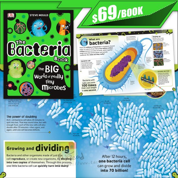 dk the bacteria book