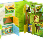 Animals Of The World Lift-The-Flap – 9781760408404- [03]