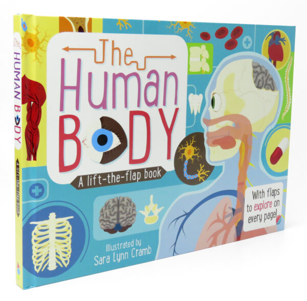 The Human Body 1 – 9781760408411