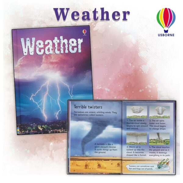 52712943_2512571532150708_610739358739202048_n