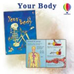 52842415_2512571412150720_5544606821253120000_n