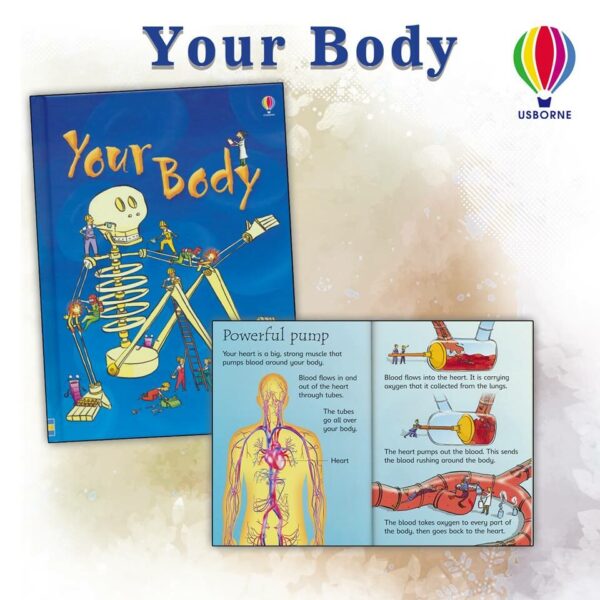 52842415_2512571412150720_5544606821253120000_n