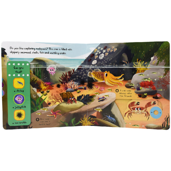 First Explorers Sea Creatures – 9781509832613 [01]-05