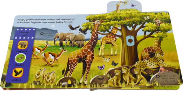 First Explorers – Wild Animals # 9781509855124 # 2