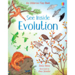 see-inside-evolution-7-ani-usborne