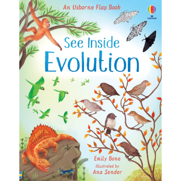 see-inside-evolution-7-ani-usborne