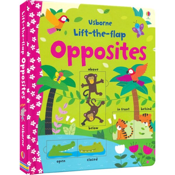Usborne Lift-The-Flap Opposites – 9781409582588 – C1