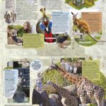 Virtual-visits-spread_tcm25-665598