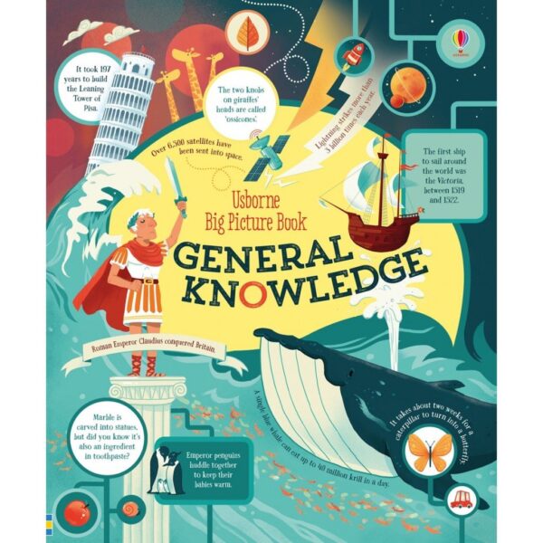 usborne big picture book general knowledge