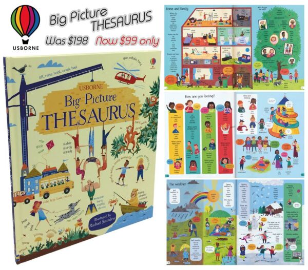 big picture thesaurus