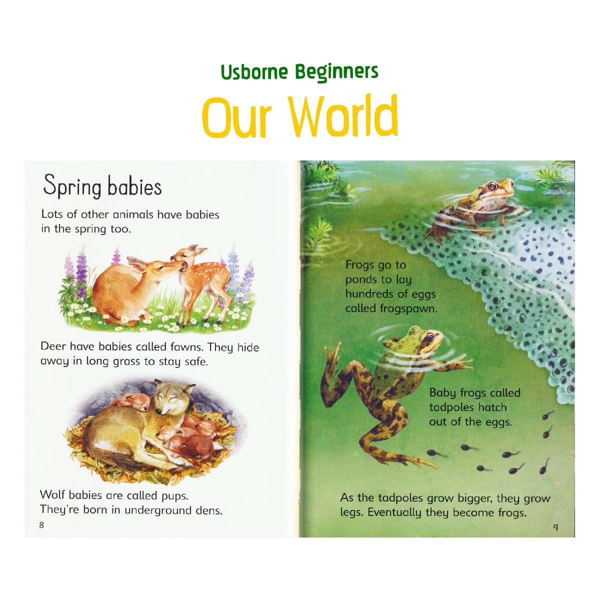 Usborne Beginners Our World Collection (10 books) - Fun To Read
