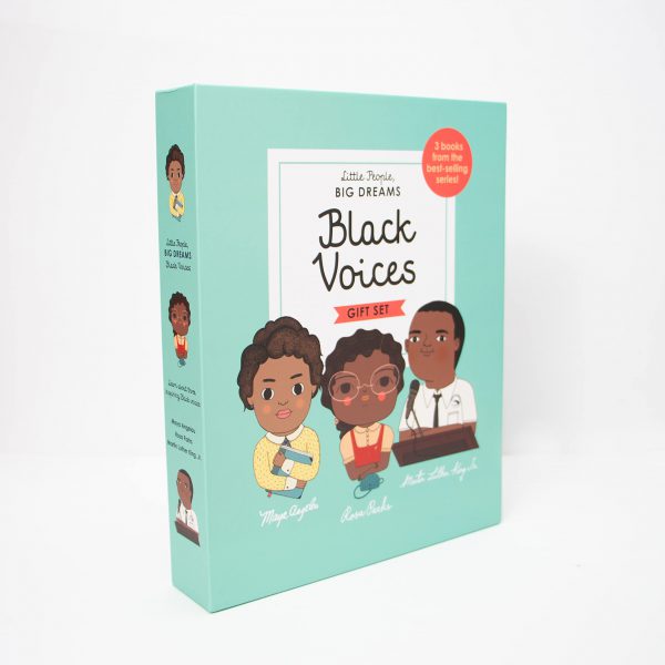 Little People, BIG DREAMS Black Voices