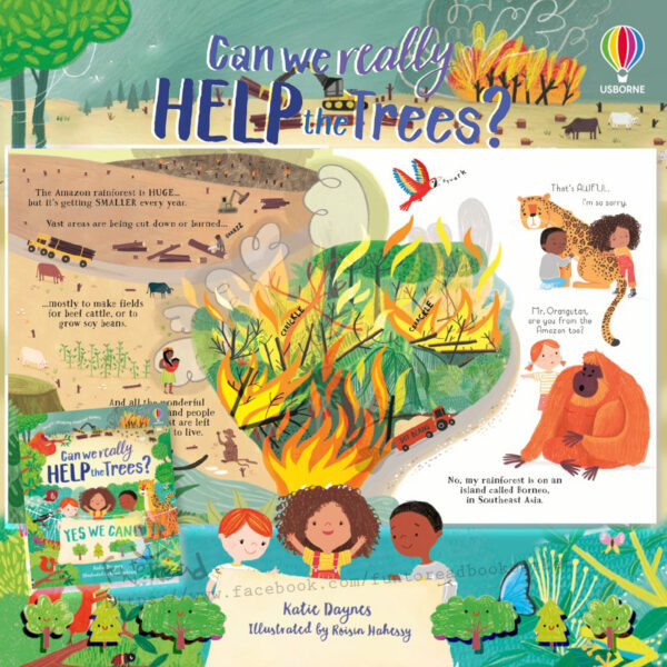 content1 katie daynes can we really help the trees