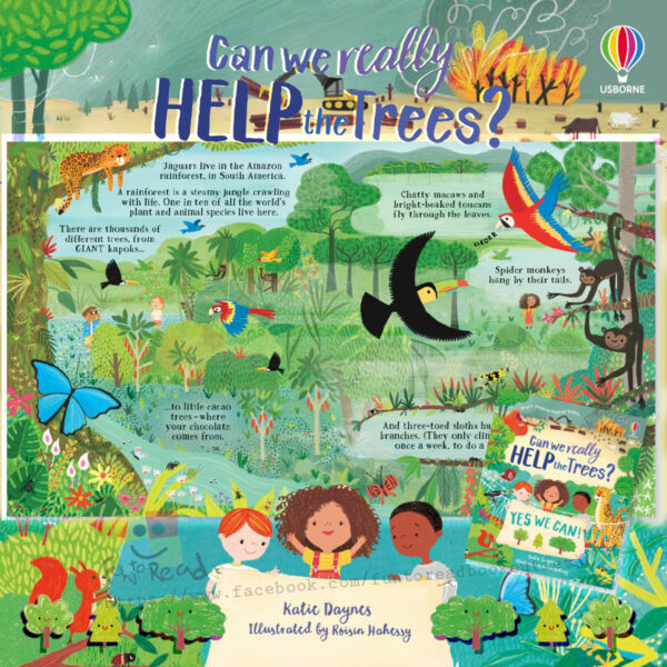 content2 katie daynes can we really help the trees