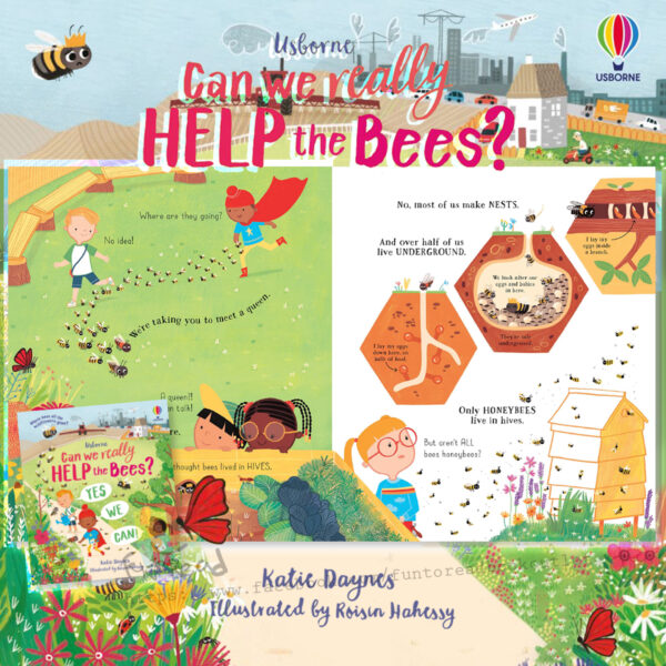 content1 katie daynes can we really help the bees