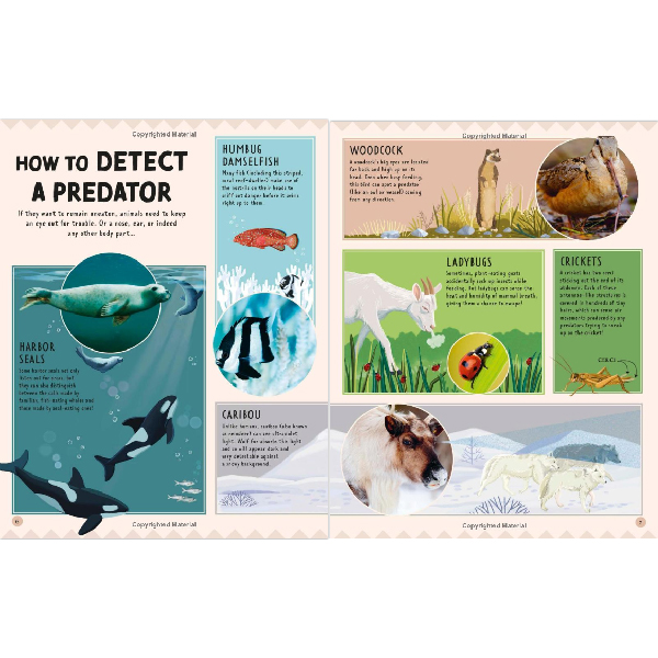 How Not to Get Eaten-100