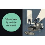 JUST BECAUSE 9781406393064-1