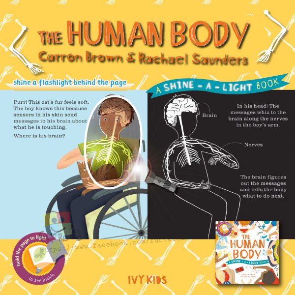 工作區域 3@2x-100