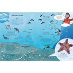 9781474996402_spread_image_1_1661472636