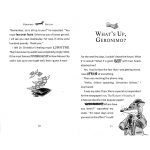 Geronimo Stilton 10 OR 30 Book Collection preview-red (2)