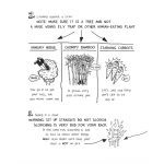 Danger Is Everywhere Set (3 Books) 90000090488 (2)