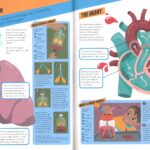 Brilliant Human Body # 9781803684659 #4