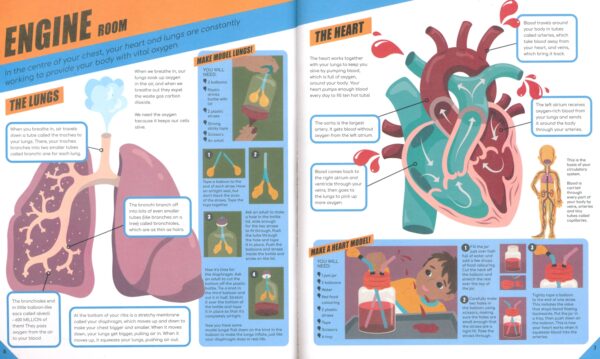 Brilliant Human Body # 9781803684659 #4