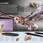 9781465435026 inside1