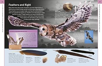 9781465435026 inside1