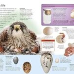 9781465435026 inside2