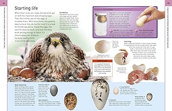 9781465435026 inside2