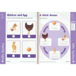 Evan-Moor-Skill-Sharpeners-Science-Grade-K-02