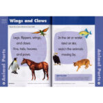 Evan-Moor-Skill-Sharpeners-Science-Pre-K-01