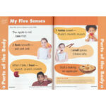 Evan-Moor-Skill-Sharpeners-Science-Pre-K-02