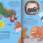 Big Book Of Facts # 9781789895469 (2)