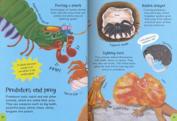 Big Book Of Facts # 9781789895469 (2)