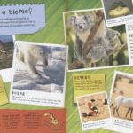 Let’s have Fun with Science # 9781789895599 (3)