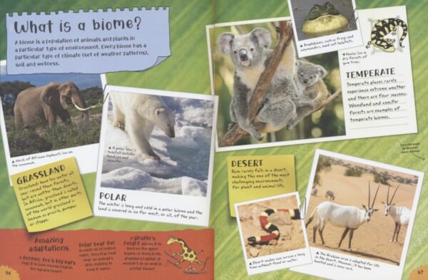 Let’s have Fun with Science # 9781789895599 (3)