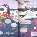 My Big Book of Adventures # 9781789891911