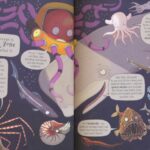 My Big Book of Adventures # 9781789891911 (2)