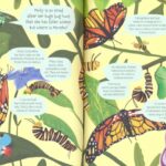 My Big Book of Adventures # 9781789891911 (3)